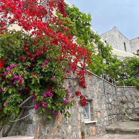 Bella Vista - Near The And Airport Vila