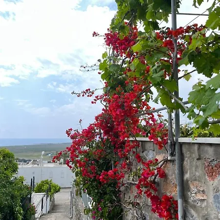 Bella Vista - Near The And Airport Vila